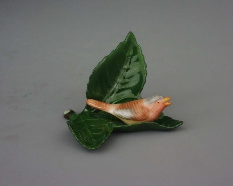Bird on leaf