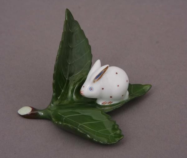 Rabbit on a leaf